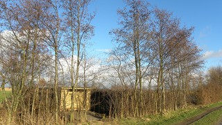  &copy; Stichting Moeras Natuurlijk
